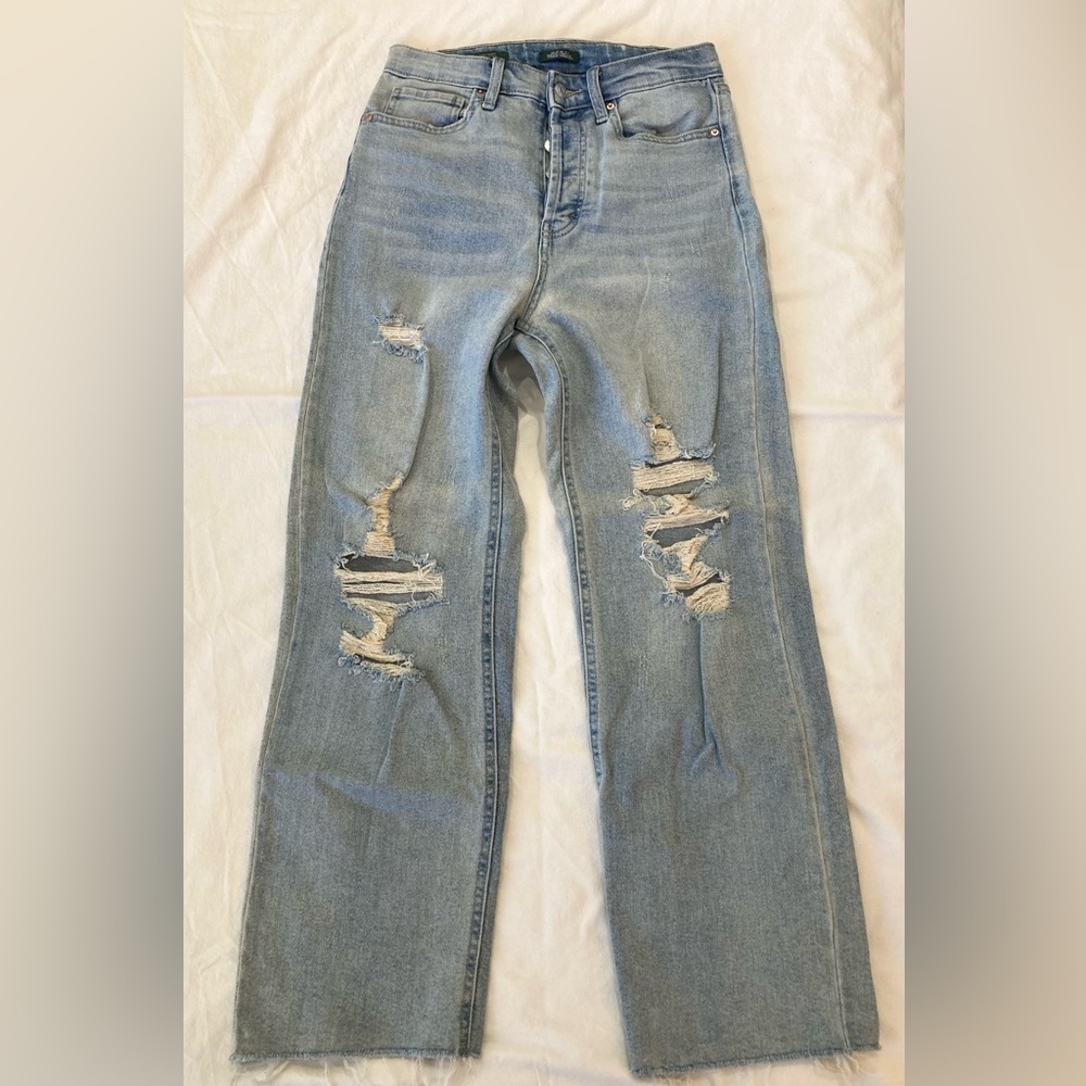 Wild Fable Highest Rise Straight Distressed Button Fly Jeans